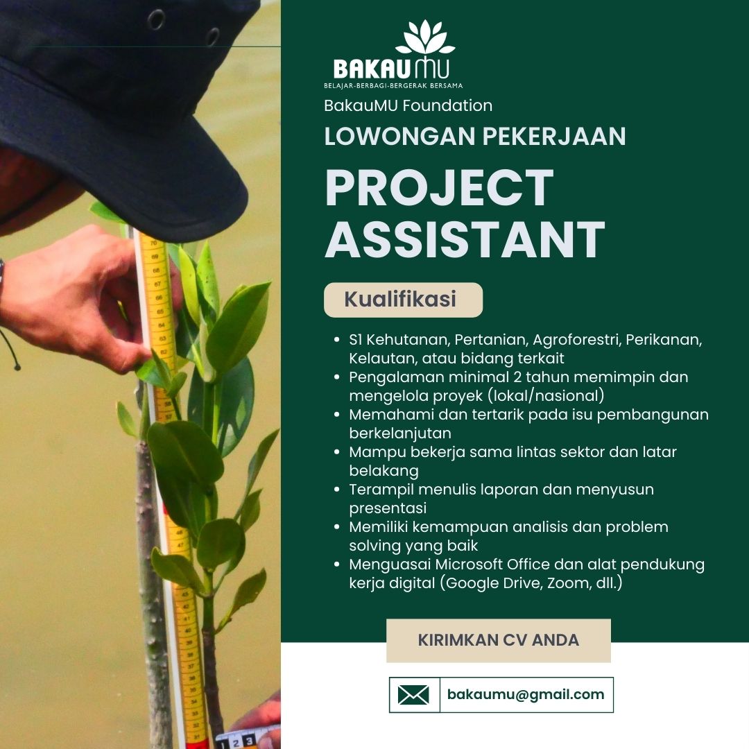 Lowongan Kerja Project Assistant (PA)
